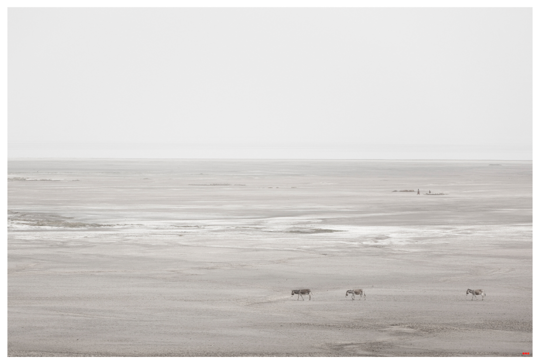 Main image RED³ PH Danai I