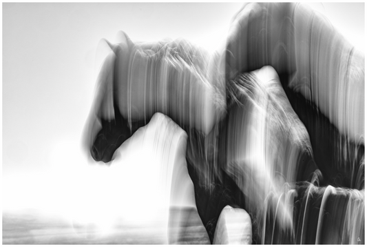 WILD MUSTANGS Chayton I