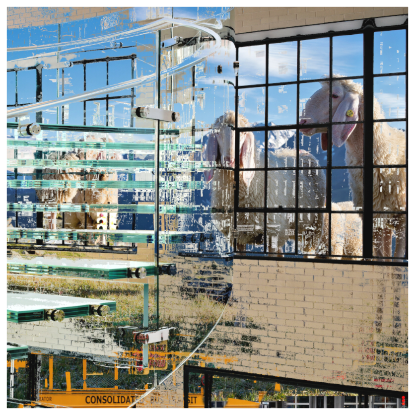 Main image RED³ HP Malia II