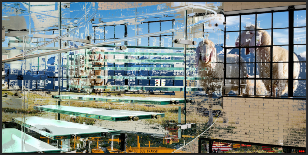 Main image FA HP Malia V