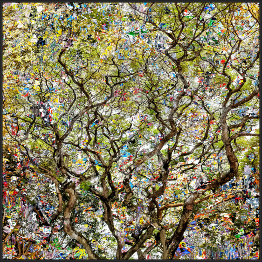 Main image FA HP Shakini II