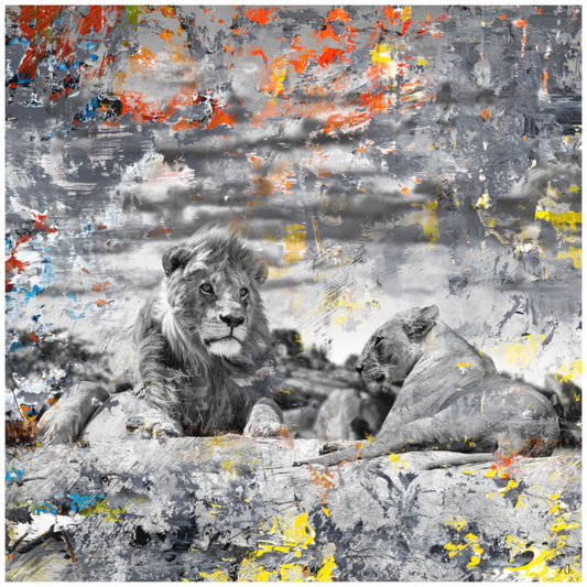 WILD CIRCUS Amalaya II