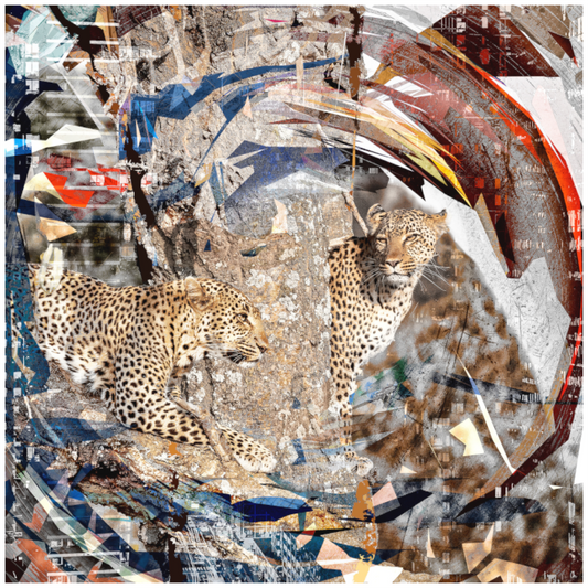 WILD CIRCUS Jamala II