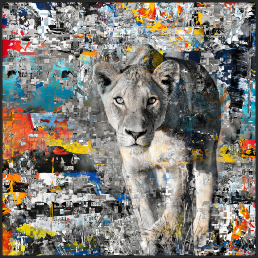 Main image FA WC Kachine II