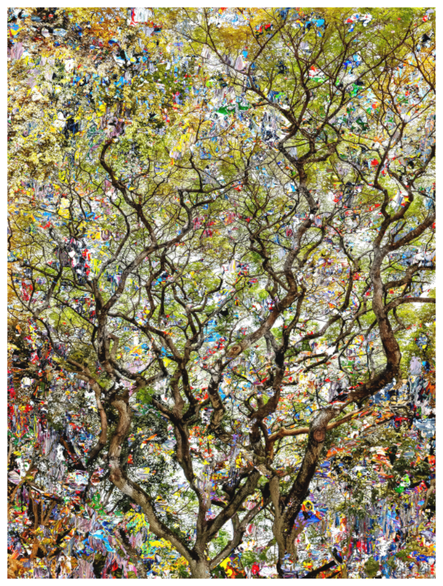 Main image RED³ HP Shakini III