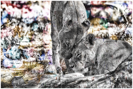 WILDCIRCUS Ashur I