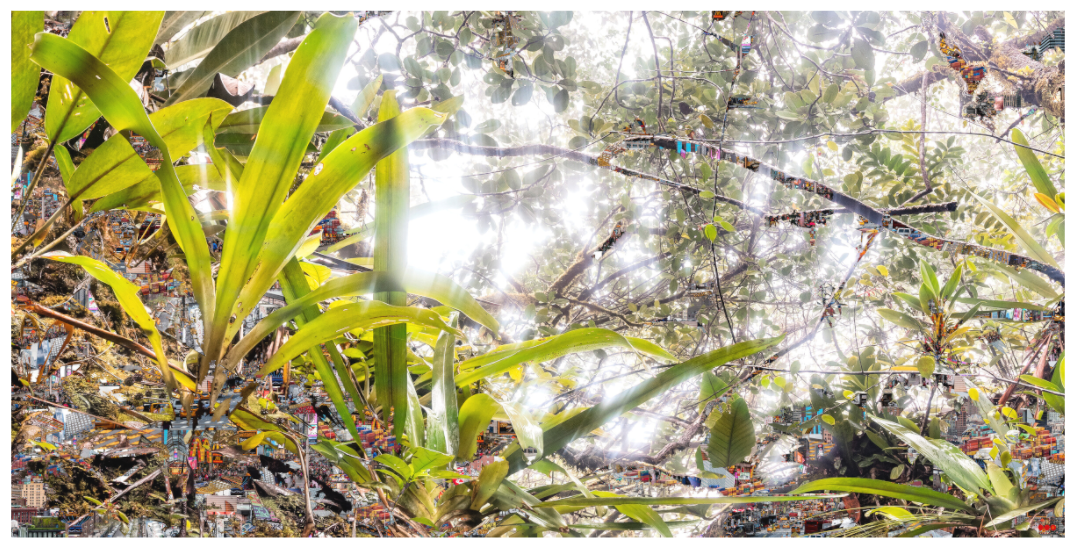 Main image RED³ HP Amara V