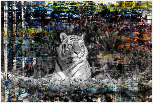 WILD CIRCUS Lubaya I