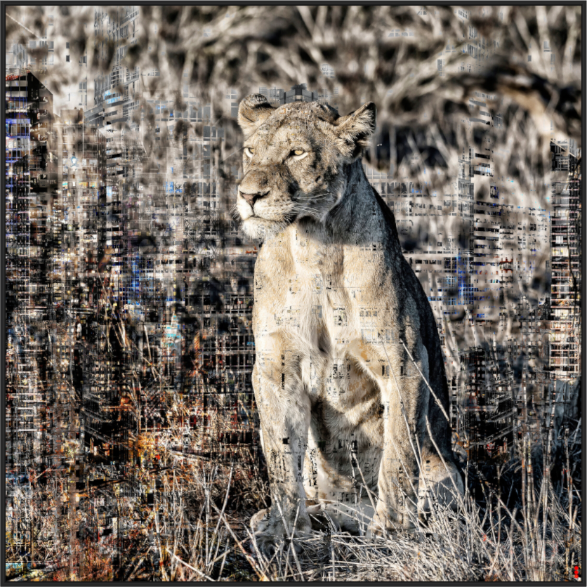 Main image FA WC Adwoa II