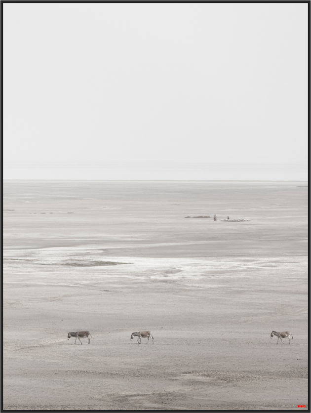 Main image FA PH Danai III