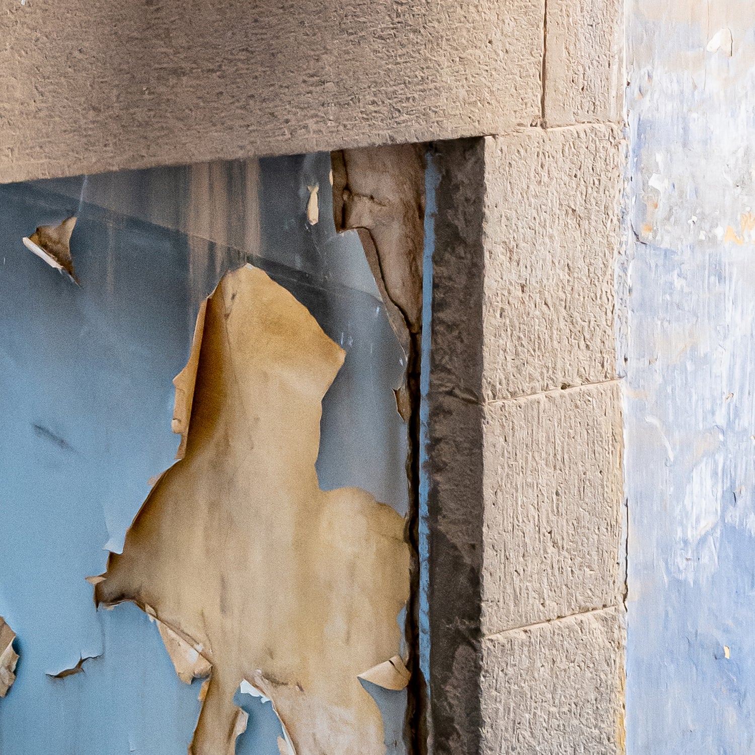 RED³ PH Siddhartha III