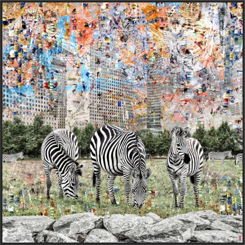 Main image FA WC Amaya II