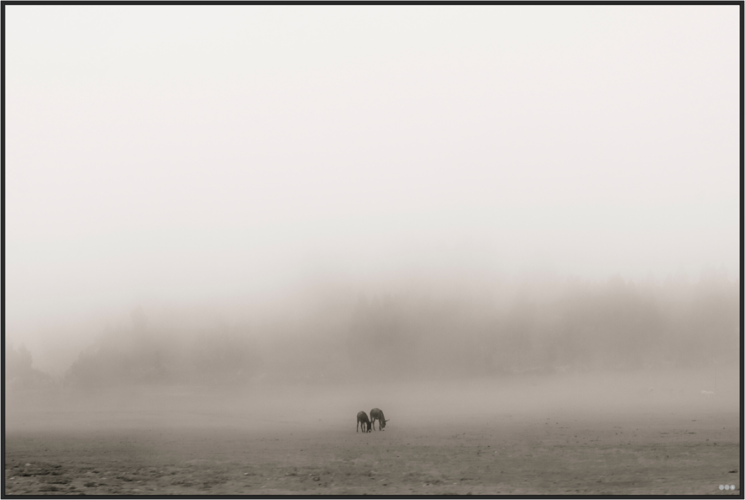 Main image FA PH Mamello I