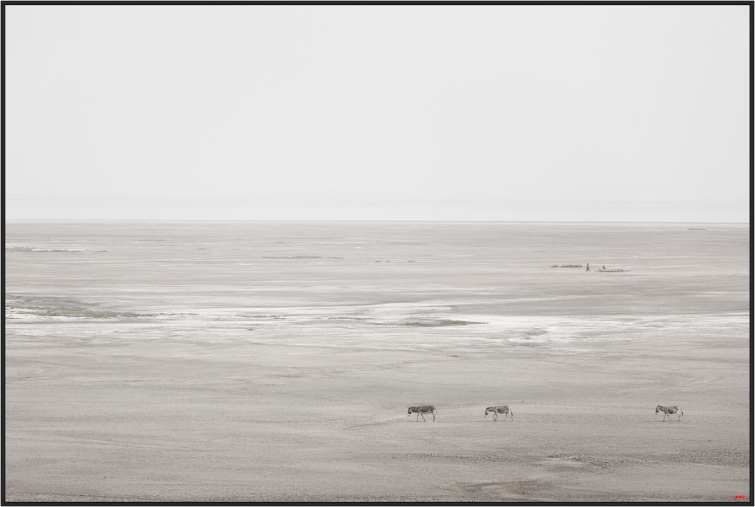 Main image FA PH Danai I