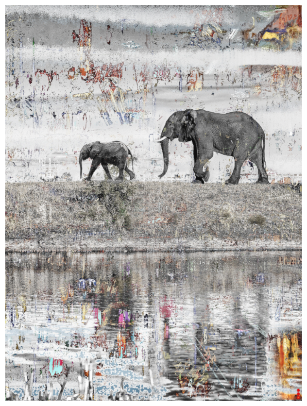 Main image RED³ WC Akuji III