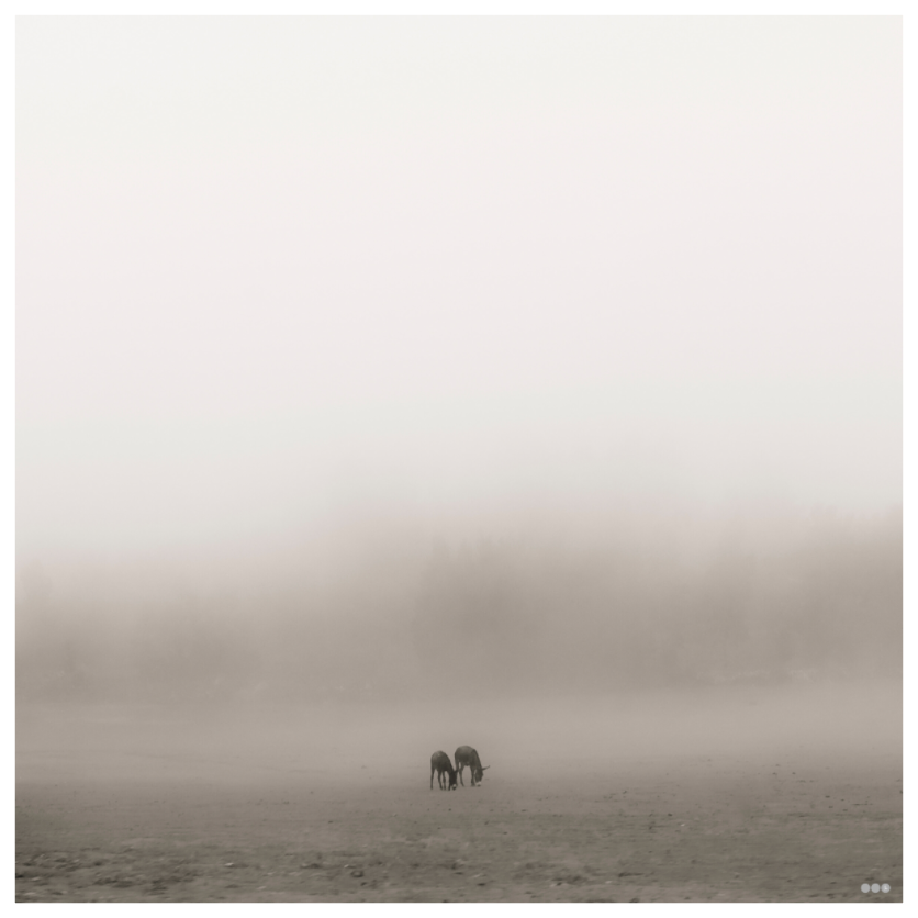 Main image RED³ PH Mamello II