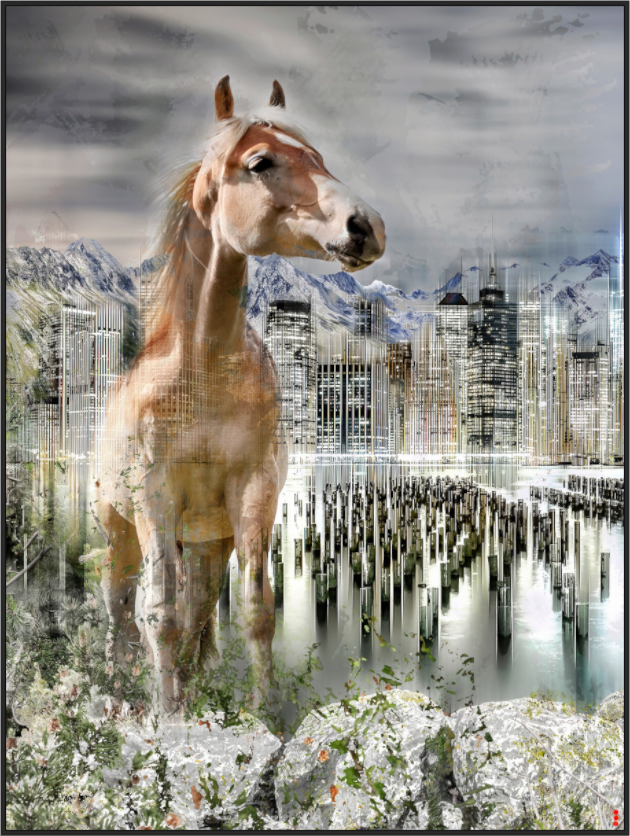 Main image FA HP Amazia III