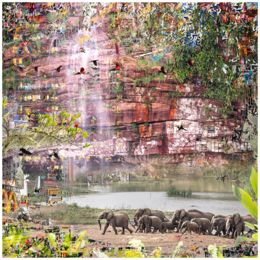 WILDCIRCUS Valedci II