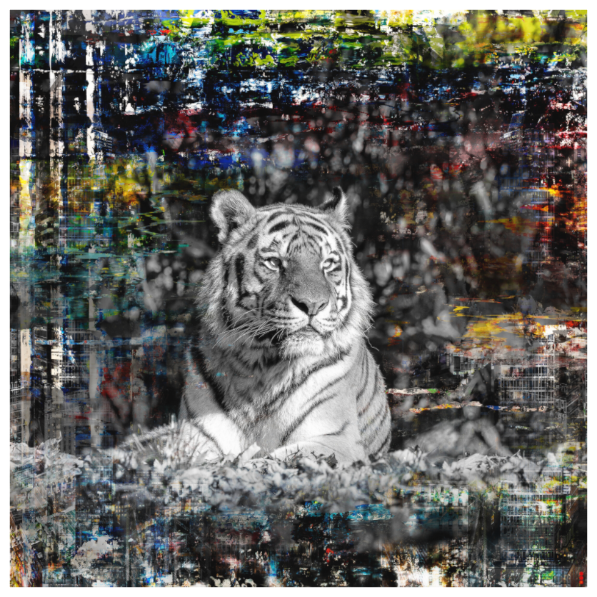 Main image RED³ WC Lubaya II