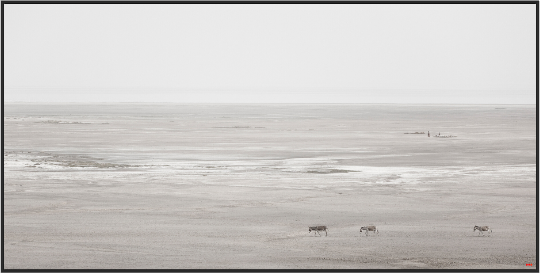 Main image FA PH Danai V