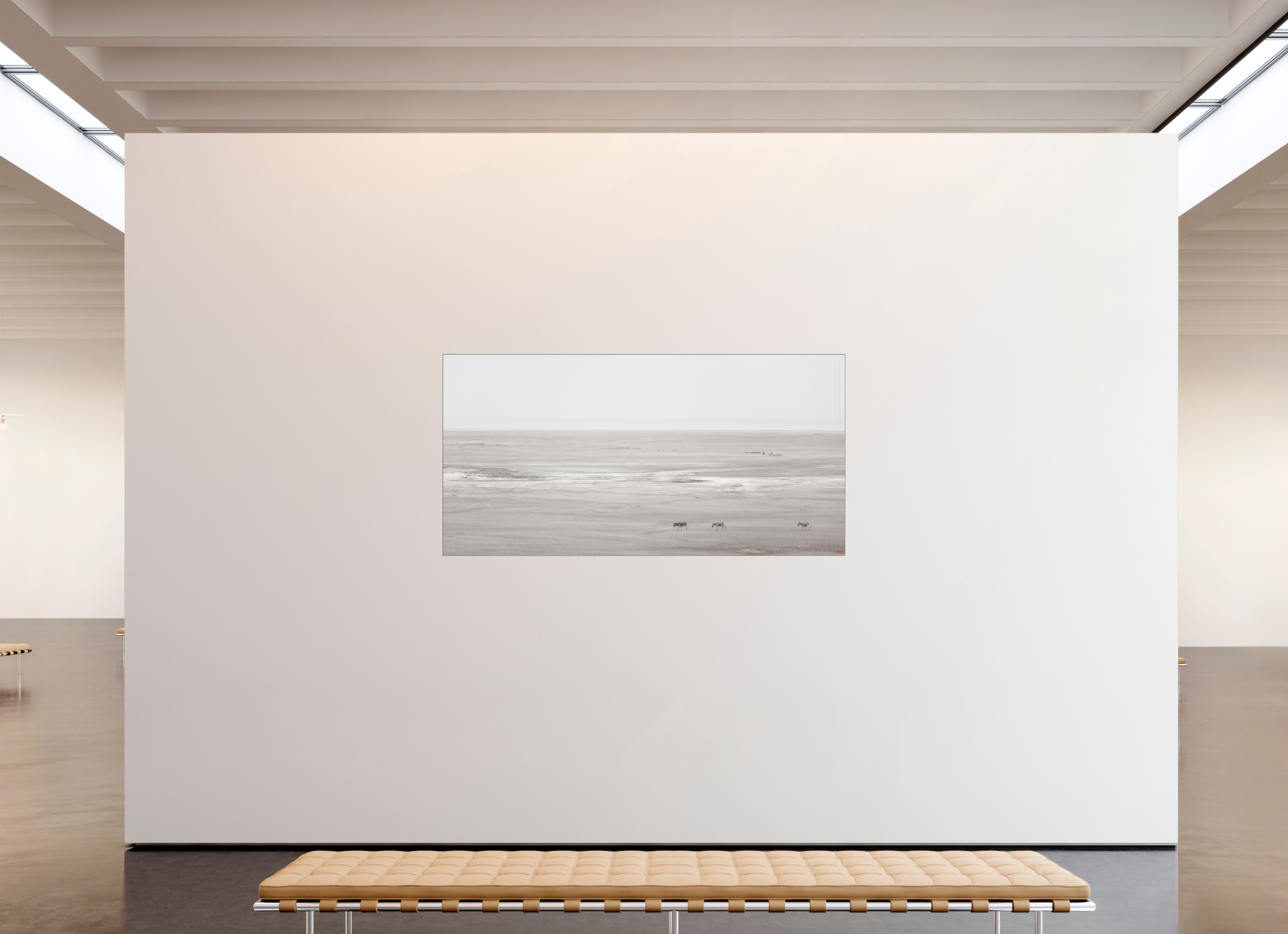 200 x 100 cm, Slimline Einfassung schwarz unter 2mm Acrylglas FA PH Danai V