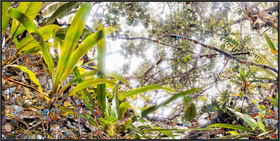 Main image FA HP Amara V