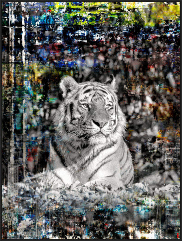 Main image FA WC Lubaya III