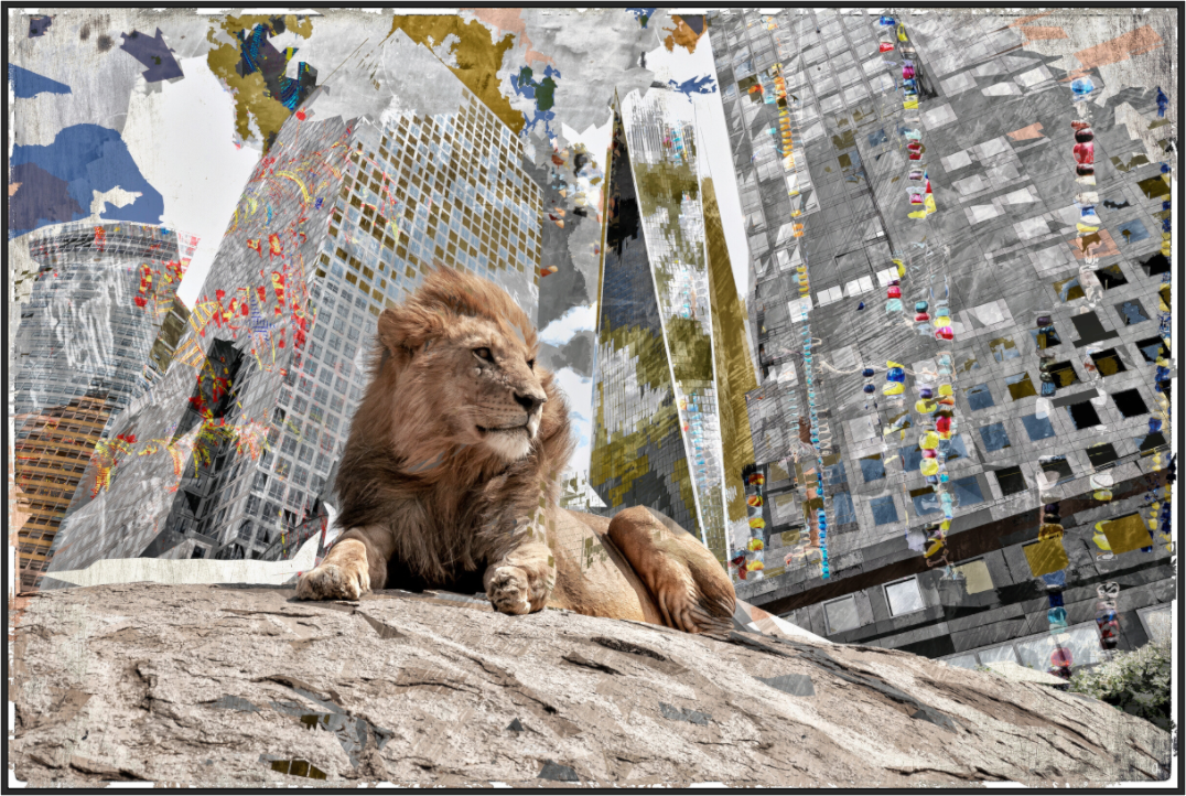 Main image FA WC Amalia I