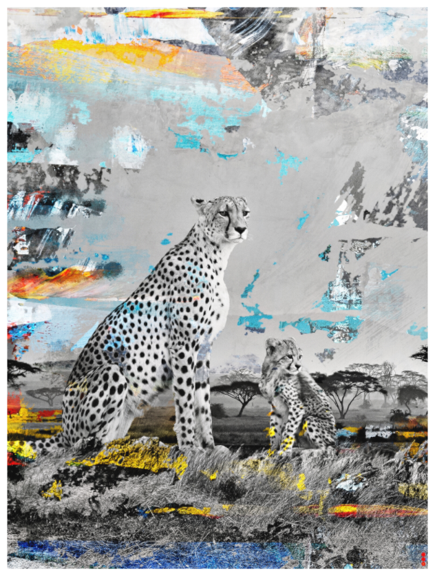 Main image RED³ WC Ladebayo III