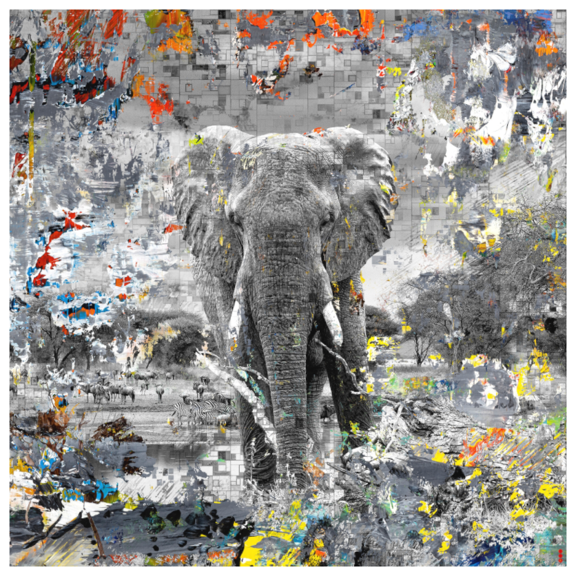 Main image RED³ WC Kajika II