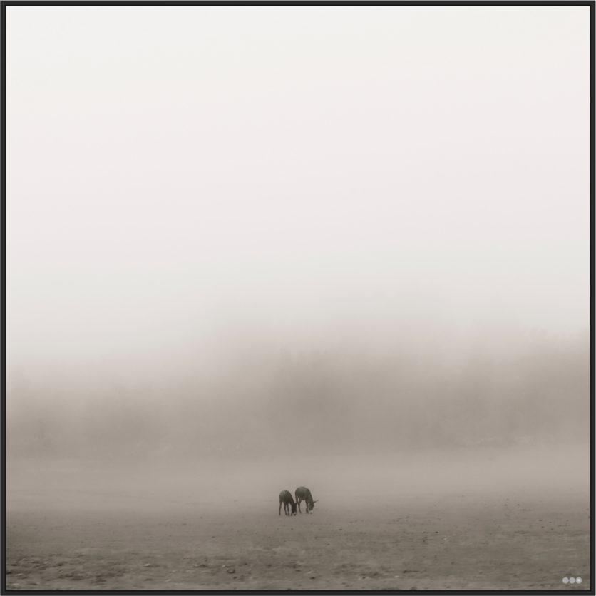 Main image FA PH Mamello II