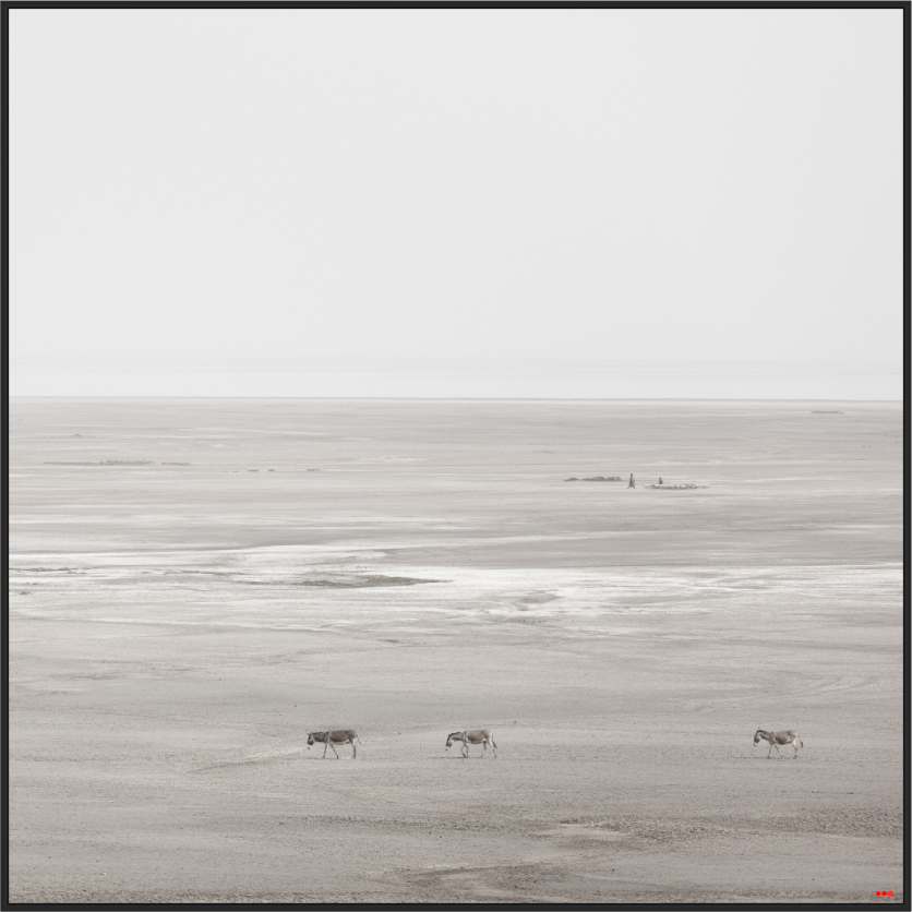 Main image FA PH Danai II