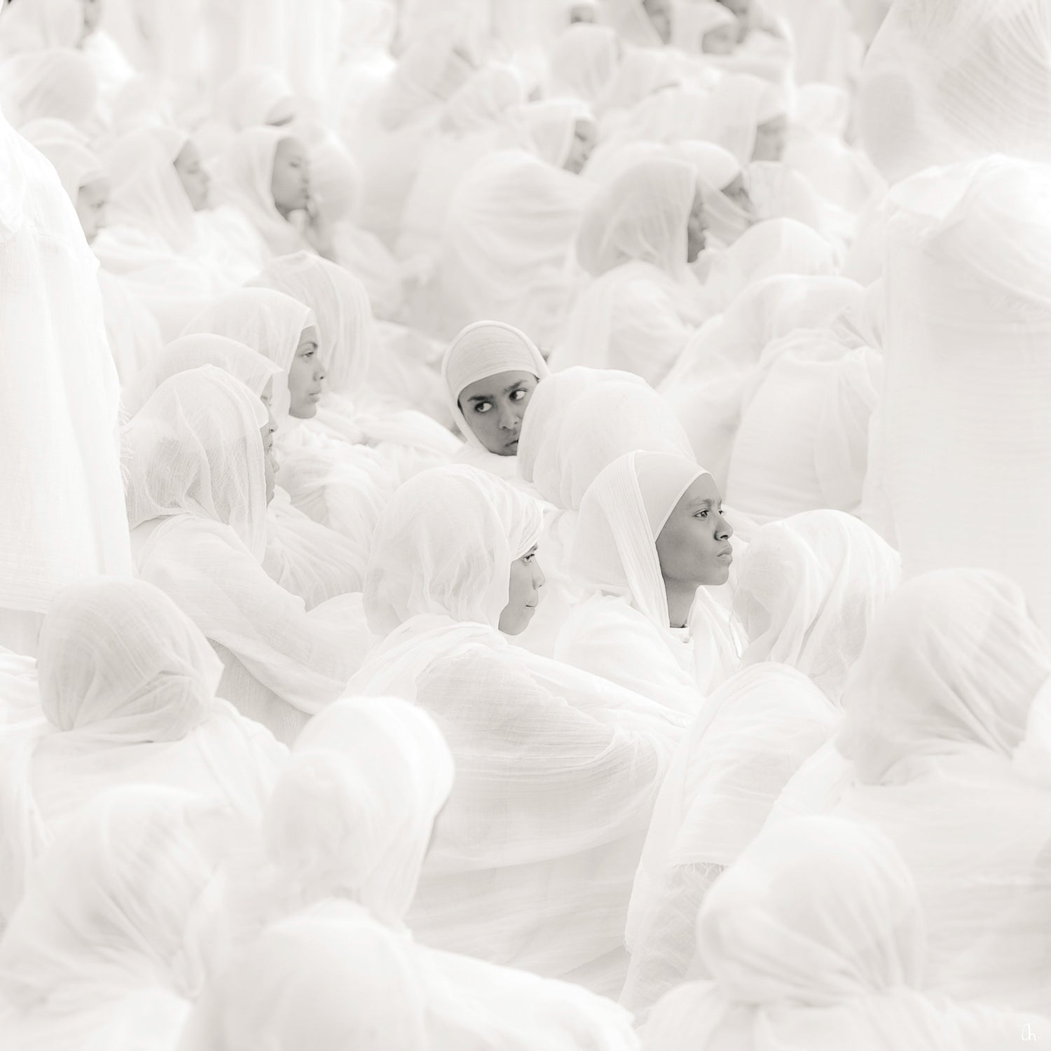 Fine Art Bestseller – exklusive Kunsteditionen von Alexander Maria Lohmann